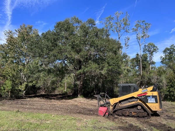 TreeShop land management project in Central Florida