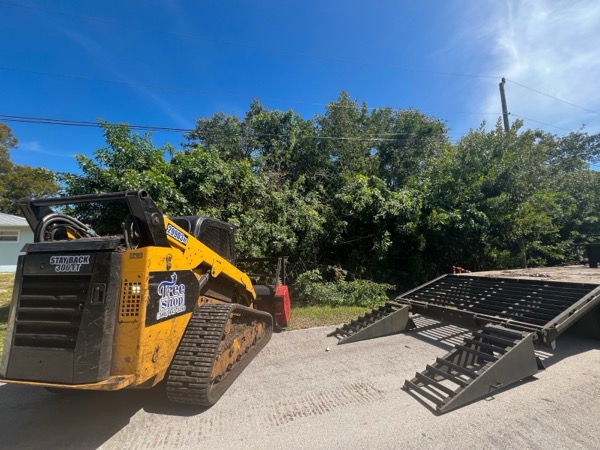 TreeShop land management project in Central Florida