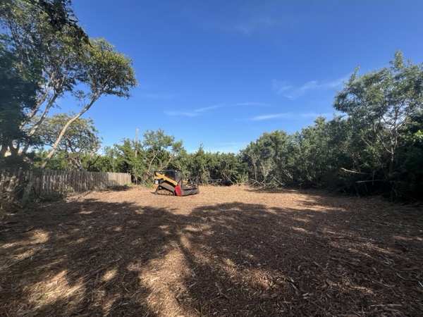 TreeShop land management project in Central Florida