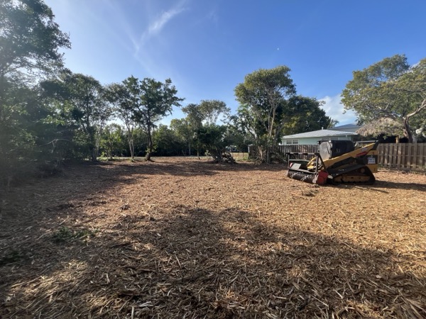 TreeShop land management project in Central Florida