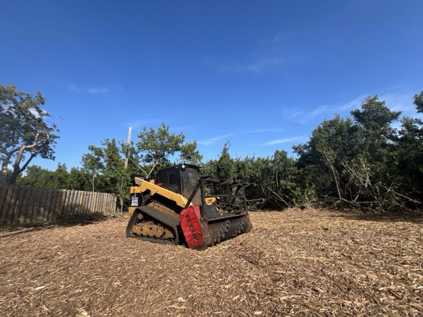 TreeShop land management project in Central Florida