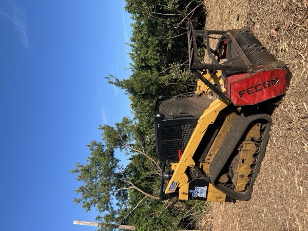 TreeShop land management project in Central Florida