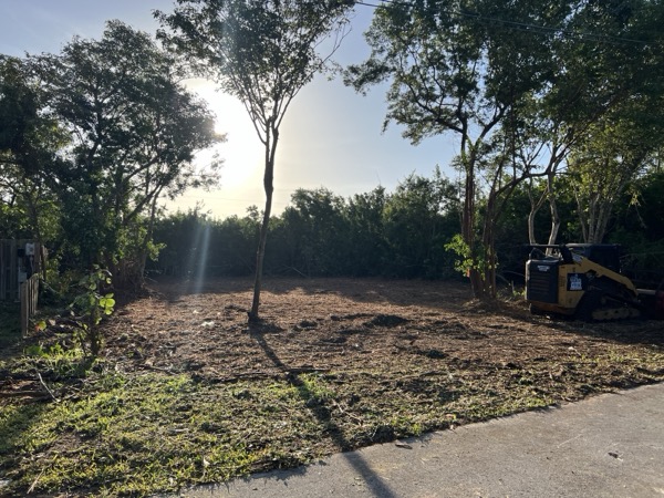 TreeShop land management project in Central Florida