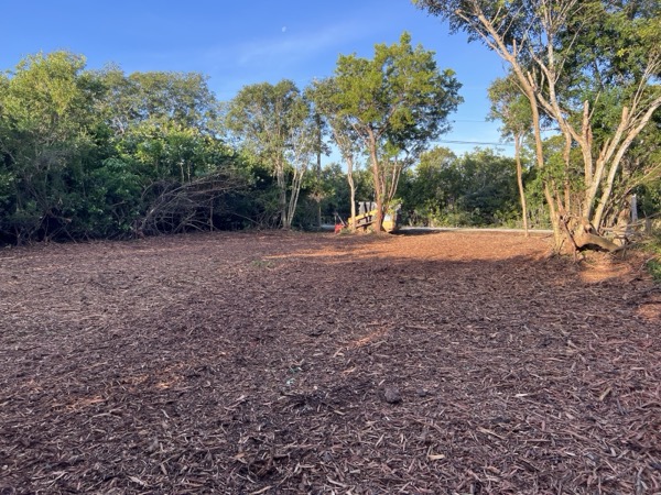 TreeShop land management project in Central Florida