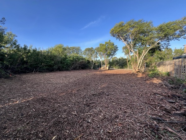 TreeShop land management project in Central Florida