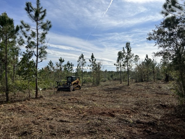 TreeShop land management project in Central Florida