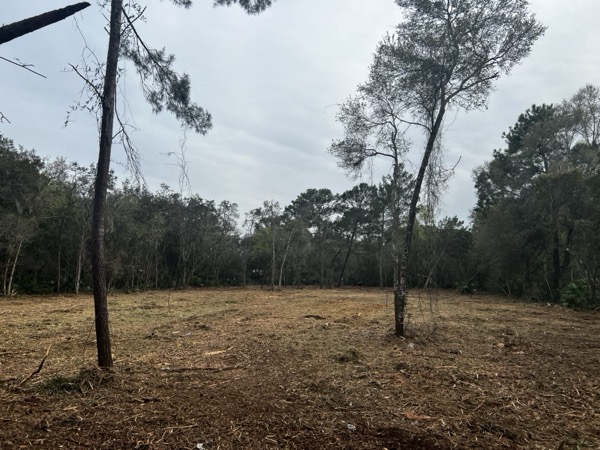 TreeShop land management project in Central Florida