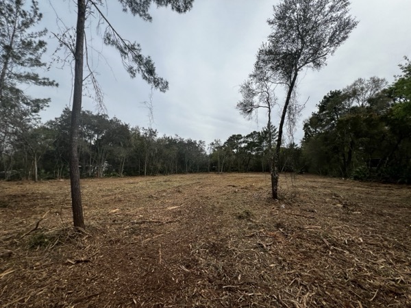 TreeShop land management project in Central Florida