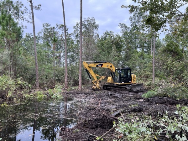 TreeShop land management project in Central Florida