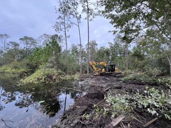 TreeShop land management project in Central Florida
