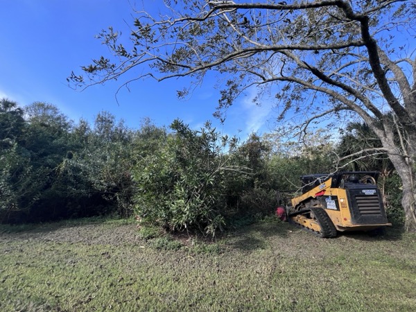 TreeShop land management project in Central Florida