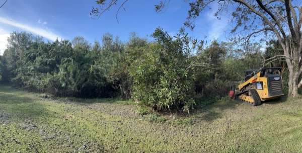 TreeShop land management project in Central Florida