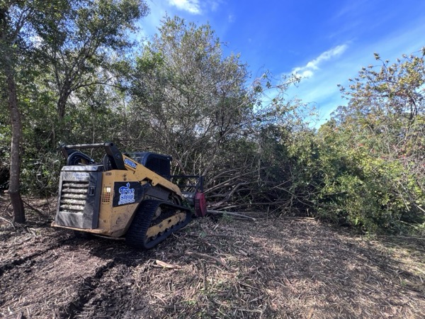 TreeShop land management project in Central Florida