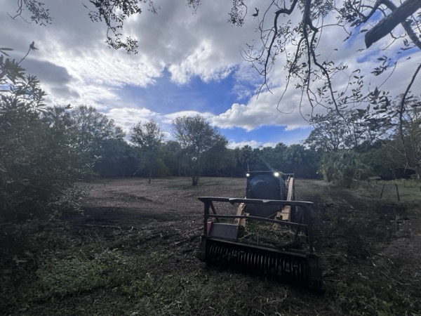 TreeShop land management project in Central Florida