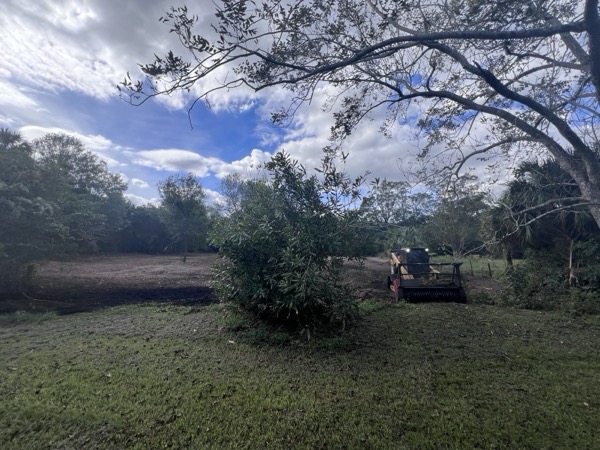 TreeShop land management project in Central Florida
