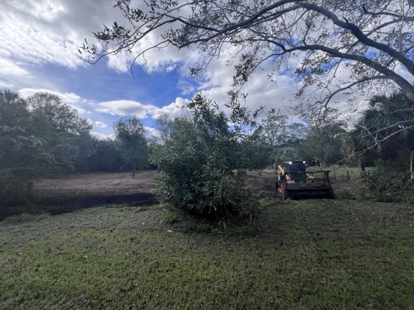 TreeShop land management project in Central Florida