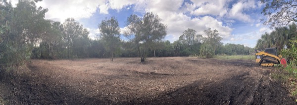 TreeShop land management project in Central Florida