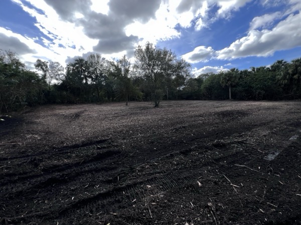 TreeShop land management project in Central Florida