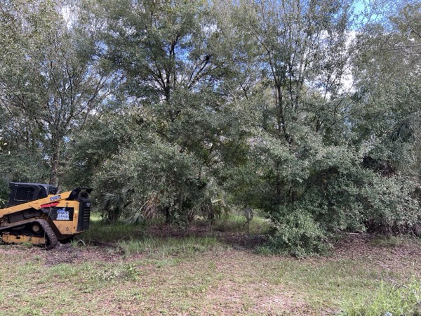 TreeShop land management project in Central Florida