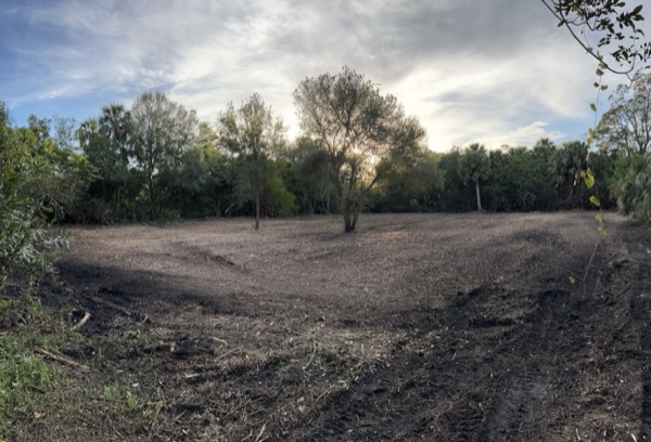 TreeShop land management project in Central Florida