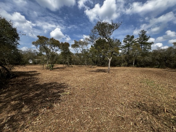 TreeShop land management project in Central Florida
