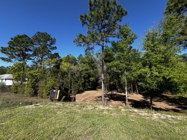 TreeShop land management project in Central Florida