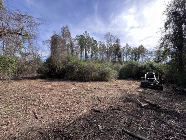 TreeShop land management project in Central Florida