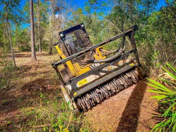 TreeShop land management project in Central Florida