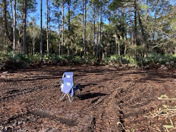 TreeShop land management project in Central Florida