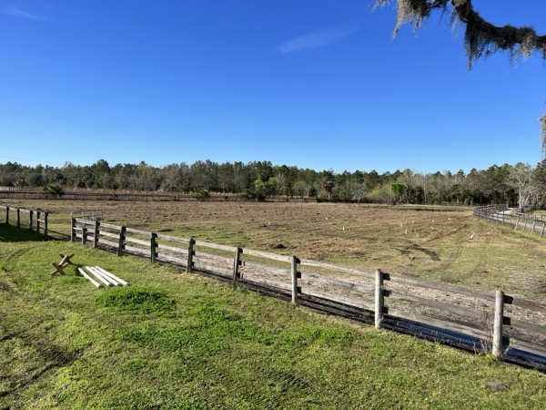 TreeShop land management project in Central Florida