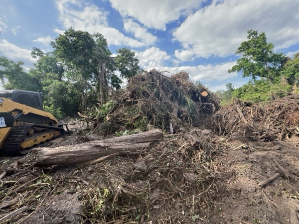 TreeShop land management project in Central Florida