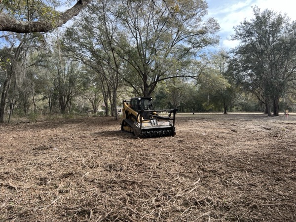 TreeShop land management project in Central Florida