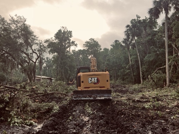 TreeShop land management project in Central Florida
