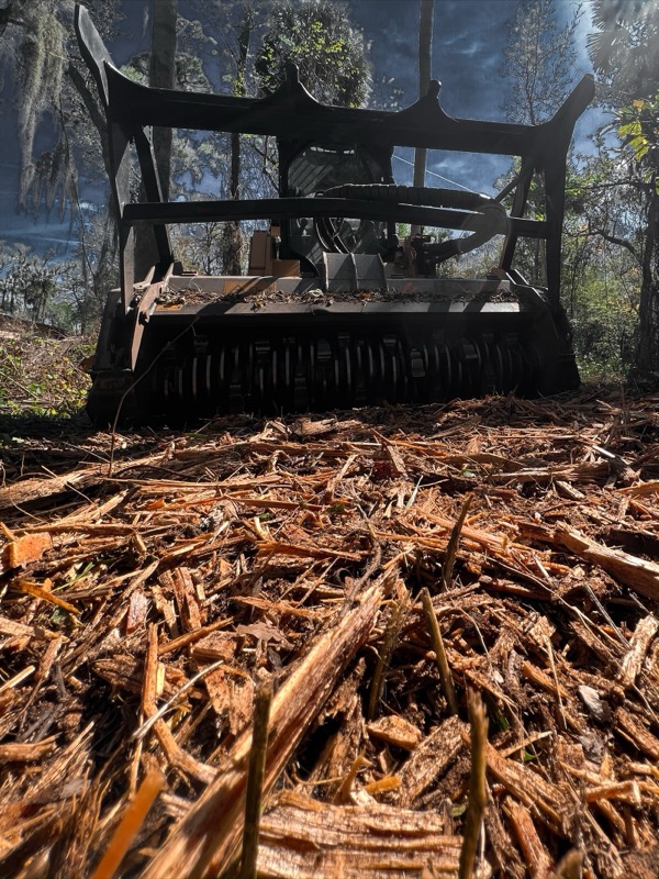 TreeShop land management project in Central Florida
