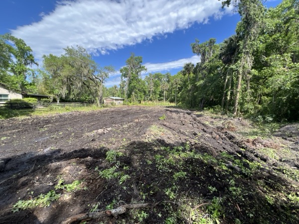 TreeShop land management project in Central Florida