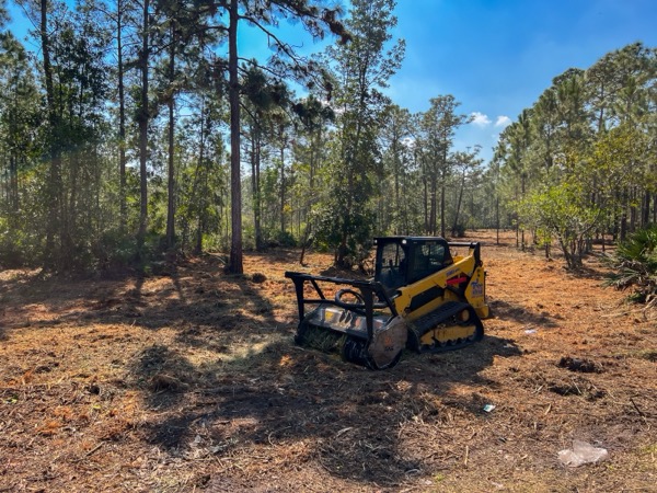 TreeShop land management project in Central Florida
