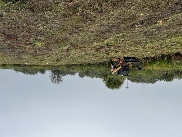 TreeShop land management project in Central Florida
