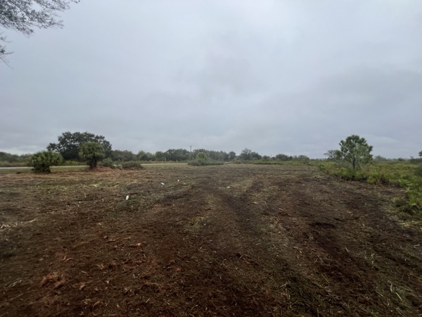 TreeShop land management project in Central Florida