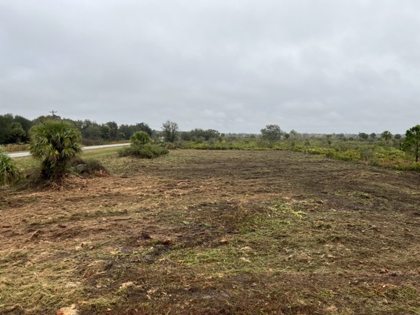 TreeShop land management project in Central Florida
