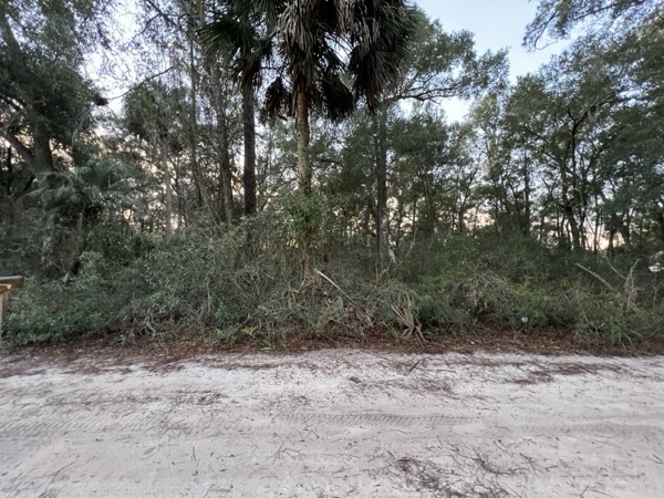 TreeShop land management project in Central Florida