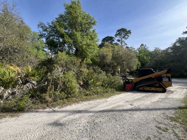 TreeShop land management project in Central Florida