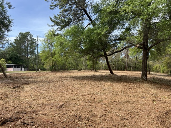 TreeShop land management project in Central Florida