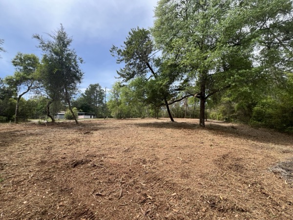 TreeShop land management project in Central Florida