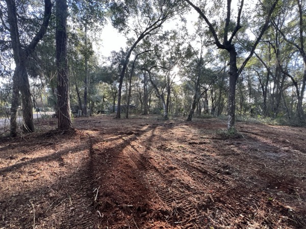 TreeShop land management project in Central Florida