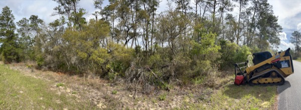 TreeShop land management project in Central Florida