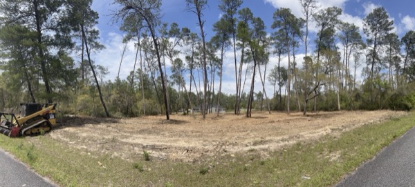 TreeShop land management project in Central Florida