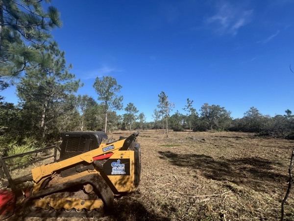 TreeShop land management project in Central Florida