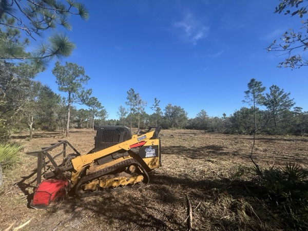 TreeShop land management project in Central Florida