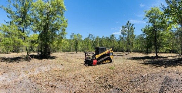 TreeShop land management project in Central Florida