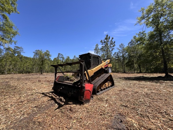 TreeShop land management project in Central Florida